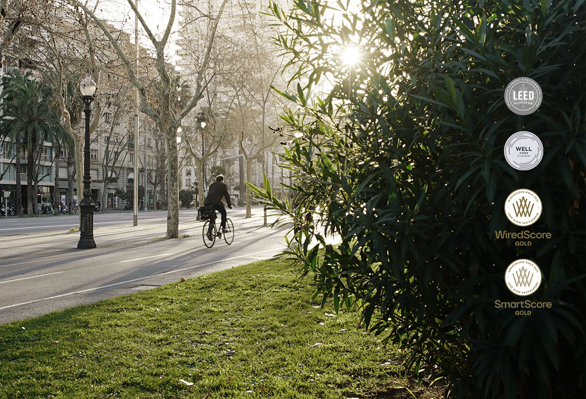 Diagonal Beethoven Spanish